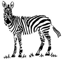 Zebra A4778