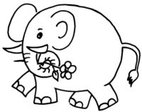 Elephant Flowers A4781