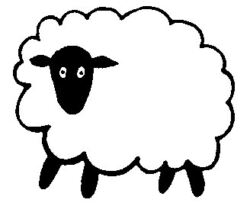 Sheep A055