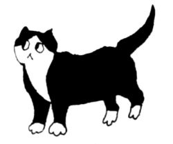 Black and white cartoon cat A122