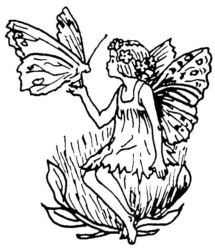 Fairy with Butterfly A242