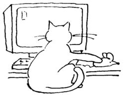 Cat on computer A4716