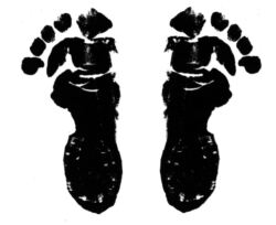 Feet print D5412