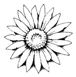 Flower Sunflower K3925