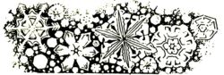 Snowflakes R4811