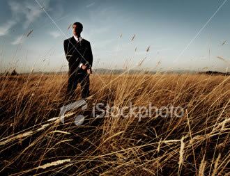 Molestie vel, ornare sit amet, interdum