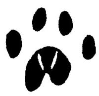 Cat paw print A125