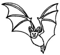 Bat A3103