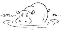 Hippopotamus A3129