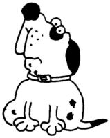 Dog A4747