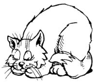 Sleeping Cat A4751