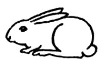 Rabbit AS3440