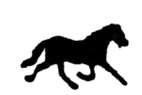 Running horse AS3459