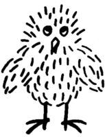 Chick B2525