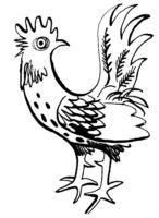 Cockerel B2592