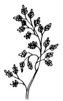 Branch with leaves K3815