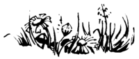 Flowers K3937
