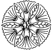 Medaillon K3975