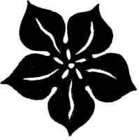 Flower K5375