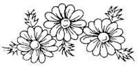 Flowers K806