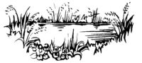 Pond L4629
