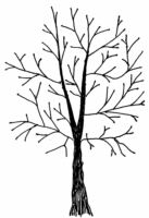 Winter Tree L4673