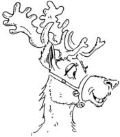 Reindeer R3096