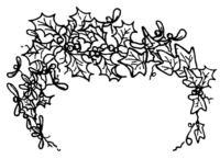 Holly and berries border R5637