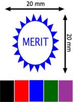 Merit TM21