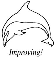 Improving dolphin TM63