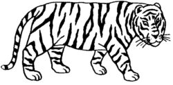 Tiger A060