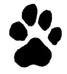 Dog paw A091