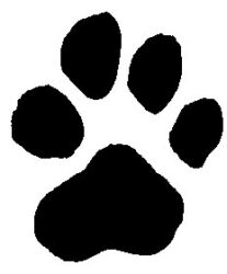 Dog paw print A124