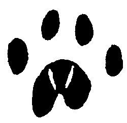 Cat paw print A125