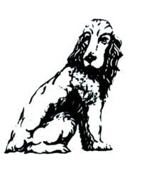 Cocker spaniel dog A130