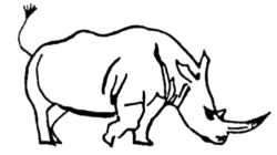 Rhinoceros A252