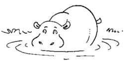 Hippopotamus A3129