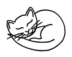 Sleeping cat A3133