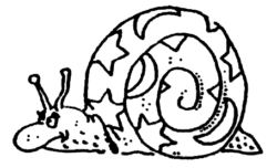Magic snail A3193