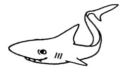 Shark A3195