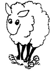 Sheep A3620