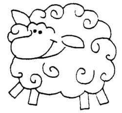 Sheep A3671