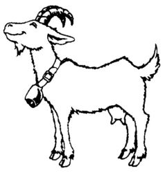 Goat A4268