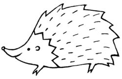 Hedgehog A4750