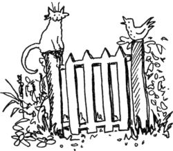 Cat and Bird on gate post A4783