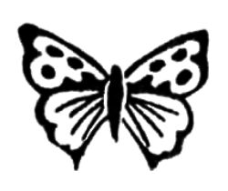 Butterfly AS3456