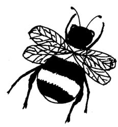 Bee CI2351