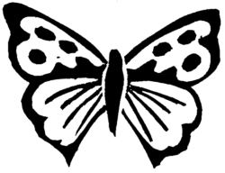 Butterfly CI2366