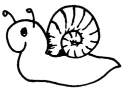 Snail CI2398