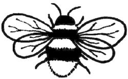 Bee CI2399